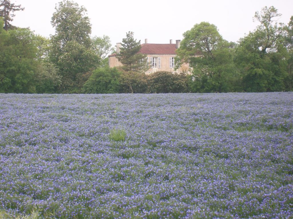 Manoir Angle Bed & Breakfast Blanzay-sur-Boutonne Екстериор снимка